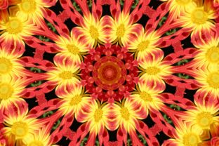 Exploring the Vibrant World of Orange Yellow Floral Kaleidoscope